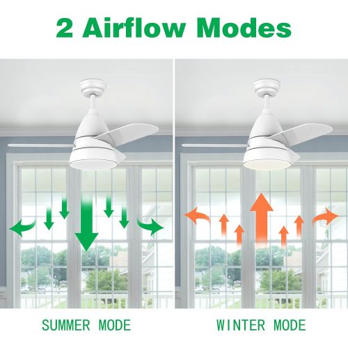  Small Ceiling Fans, Newday 36 Ceiling Fan with Lights and Remote, Modern Ceiling Fans with 3 Reversible Blades, DC Motor, for Kids Room or Other Indoor Use