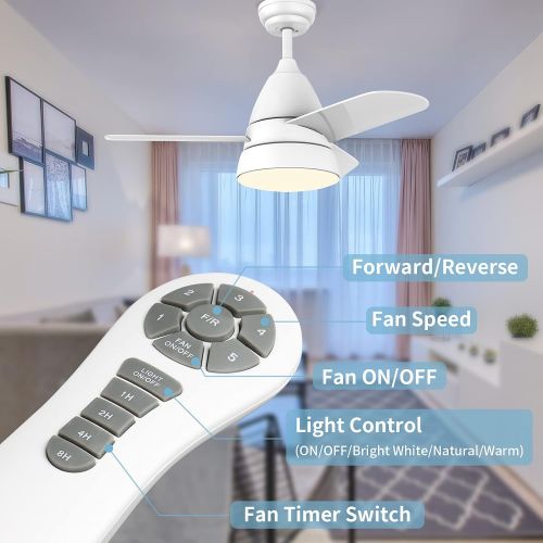  Small Ceiling Fans, Newday 36 Ceiling Fan with Lights and Remote, Modern Ceiling Fans with 3 Reversible Blades, DC Motor, for Kids Room or Other Indoor Use