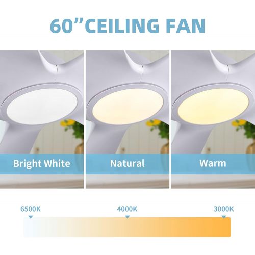  White Ceiling Fan, Newday 60 Ceiling Fans with Lights and Remote, Modern Large Ceiling Fans, Noiseless Reversible DC Motor, Big Indoor Ceiling Fans for Kitchen, Bedroom, Living Roo