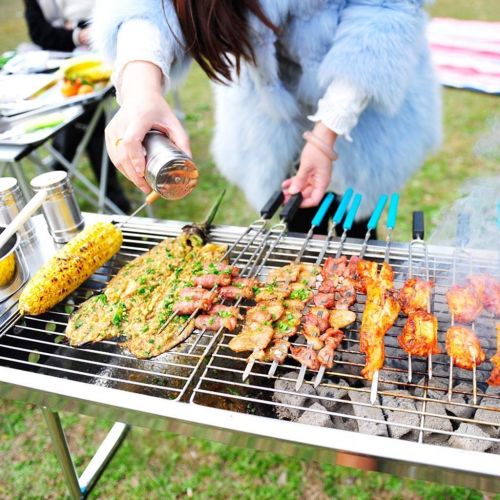  Nhlzj BBQ Supplies/Barbecue Easy Barbecues Set Barbecue Outdoor Stainless Steel Grill Foldable Charcoal Grill Portable Garden Grill Beach Camping BBQ Travel Picnic Barbecue Outdoor