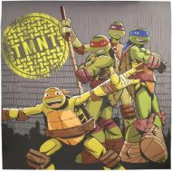 Nickelodeon Teenage Mutant Ninja Turtles Cross Hatching Fabric Shower Curtain 72 x 72