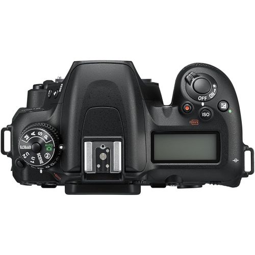  Nikon D7500 DX-Format Digital SLR Body