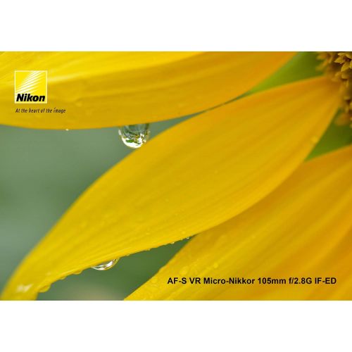  Nikon AF-S VR Micro-NIKKOR 105mm f/2.8G IF-ED Lens