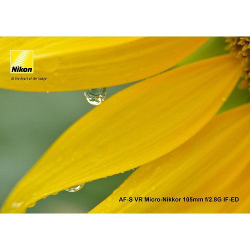  [아마존베스트]Nikon AF-S VR Micro-NIKKOR 105mm f/2.8G IF-ED Lens