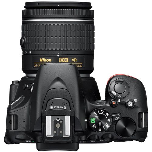  Nikon D5600 24.2MP DX-Format DSLR Camera wAF-P 18-55mm VR & 70-300mm ED Lens + Accessory Bundle Includes, Deco Gear Camera Bag (Medium) wAccessory Kit, 64GB Memory Card & Profess