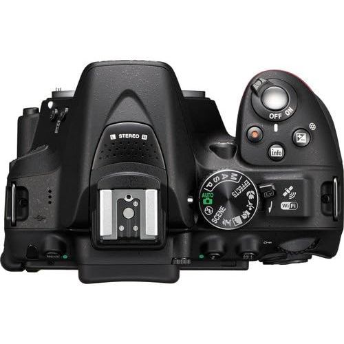  Nikon (GP) Nikon D5300 DX-Format Digital SLR wAF-P DX NIKKOR 18-55mm f3.5-5.6G VR Lens Professional Accessory Package