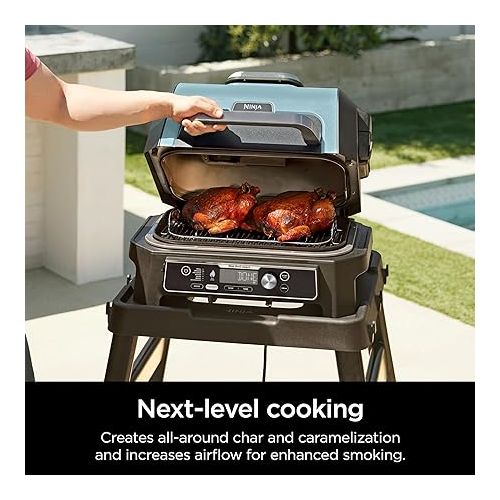 닌자 Ninja XSKRSTRKXL Woodfire Roast & Smoke Rack, Compatible with OG800 and OG900 Series, Elevates Food for All-Around Charring and Smoke Absorption, Increased Airflow, Steel Smoking Rack, Silver