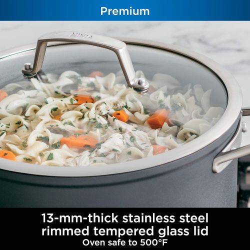 닌자 Ninja C30465 Foodi NeverStick Premium 6.5-Quart Stock Pot with Glass Lid, Hard-Anodized, Nonstick, Durable & Oven Safe to 500°F, Slate Grey