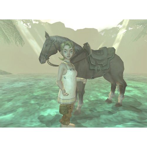 닌텐도 Nintendo The Legend of Zelda: Twilight Princess