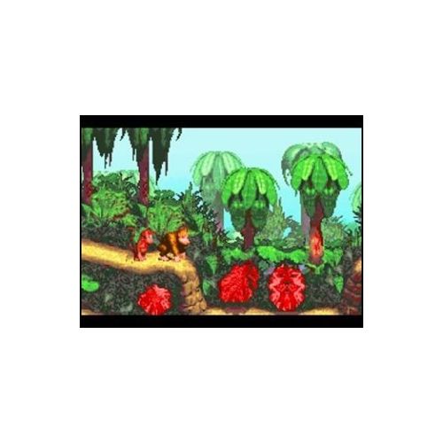 닌텐도 Nintendo Donkey Kong Country