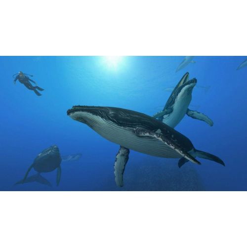 닌텐도 Endless Ocean: Blue World - Nintendo Wii