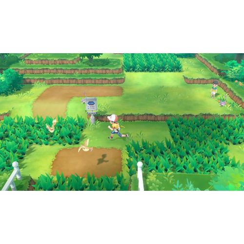 닌텐도 Nintendo Pokemon: Lets Go, Pikachu!