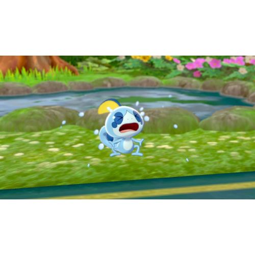 닌텐도 Pokemon Sword and Pokemon Shield Double Pack - Nintendo Switch