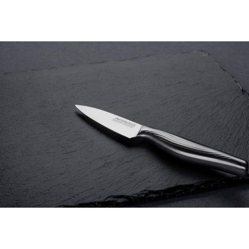  [아마존베스트]Nirosta Vegetable knife swing, kitchen knife stainless steel, non-slip handle, sharp knife for cutting and peeling, hand-sharpened blade, fruit knife (blade length: approx. 9 cm),