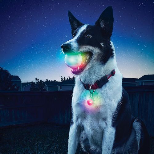  Nite Ize GlowStreak LED Dog Ball + Collar Light Combo Pack, Bounce-Activated Light Up Dog Ball, Replaceable Batteries, Disc-O Color Changing LED