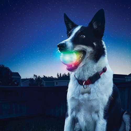  Nite Ize GlowStreak LED Dog Ball, Bounce-Activated Light Up Dog Ball