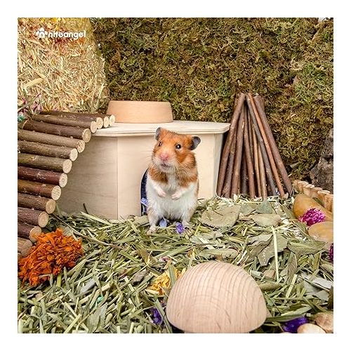  Niteangel Birch Chamber-Maze Hamster Hideout - Small Pets Woodland House Habitats Decor for Hamster Mice Gerbils Mouse