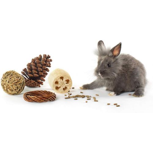 Niteangel 4-Pack of Fun and Safe Toys for Small Animals