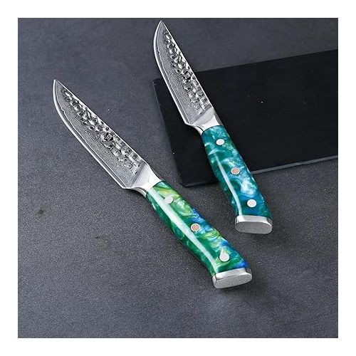  WILDMOK 4 Piece Steak Knife Set, 5