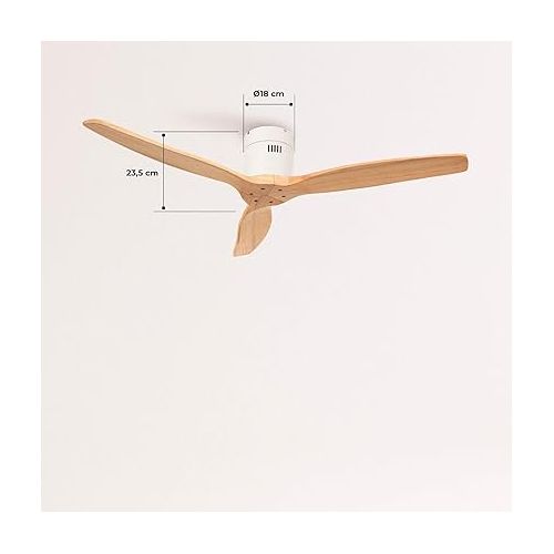  CREATE IKOHS WINDCALM DC Ceiling Fan with Winter-Summer Function, Ultra-Quiet