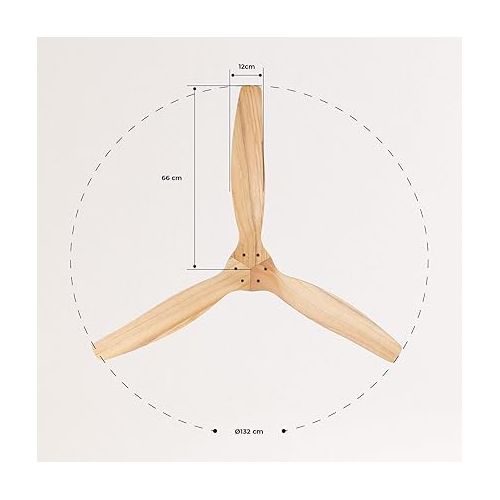  CREATE IKOHS WINDCALM DC Ceiling Fan with Winter-Summer Function, Ultra-Quiet