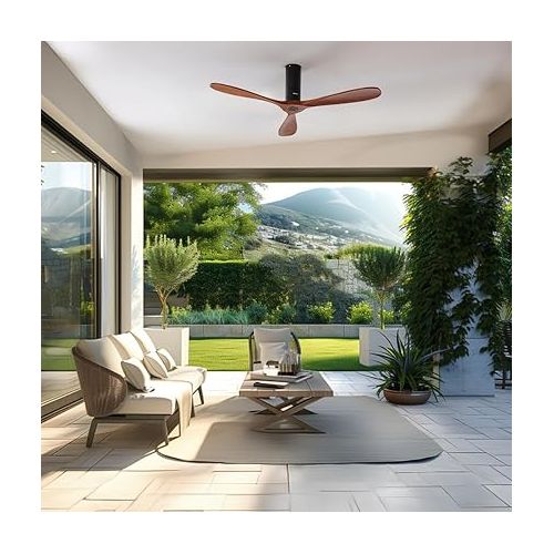  Cecotec Deckenventilator mit Fernbedienung und WLAN EnergySilence Aero 5500 Black Aqua Connected. 40 W, Durchmesser 52 Zoll, 3 Flugel, Schutzart IP44, Winter-Summer-Modus, Timer