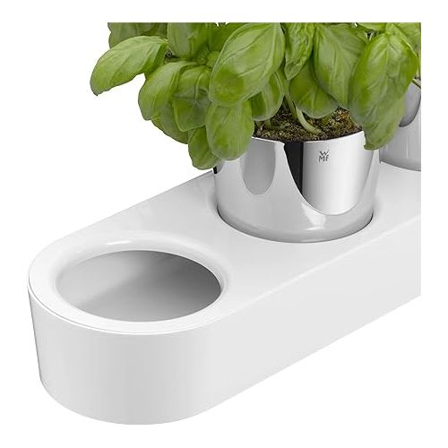  WMF Gourmet herb garden set, 3 pieces, herb pot with irrigation system, stainless steel Cromargan, plastic, for fresh herbs such as basil, parsley, mint, 36x 12.5x 12.5 cm, white