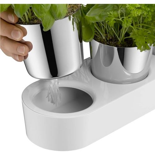  WMF Gourmet herb garden set, 3 pieces, herb pot with irrigation system, stainless steel Cromargan, plastic, for fresh herbs such as basil, parsley, mint, 36x 12.5x 12.5 cm, white