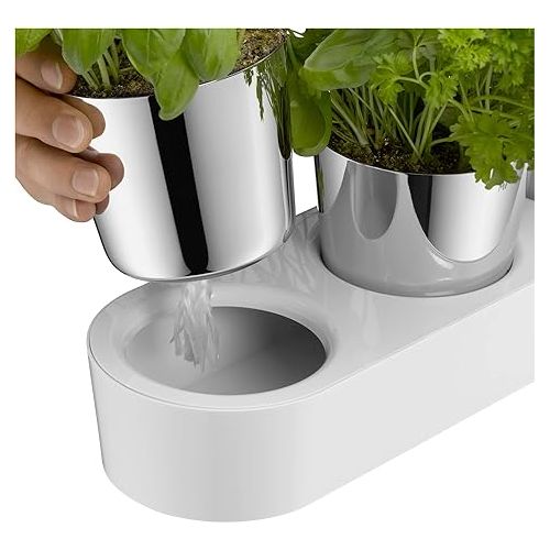  WMF Gourmet herb garden set, 3 pieces, herb pot with irrigation system, stainless steel Cromargan, plastic, for fresh herbs such as basil, parsley, mint, 36x 12.5x 12.5 cm, white