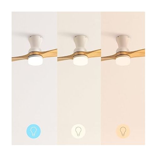  CREATE Windprop Ceiling Fan White Natural Wood Wings with Lighting and Remote Control / 40 W, Quiet, Diameter 132 cm, Programmable from 1h to 4h, 6 Speeds, DC Motor, Summer Winter Operation