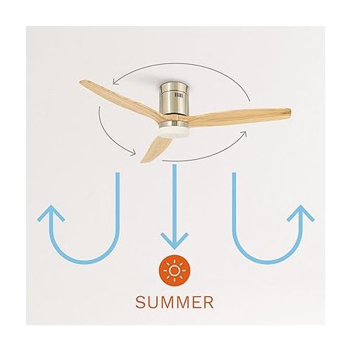  Create / Windcalm / Ceiling Fan with Lighting and Remote Control, Natural Wood Wings, 40 W, Quiet, Diameter 132 cm, 6 Speeds, Timer, DC Motor, Summer and Winter Operations