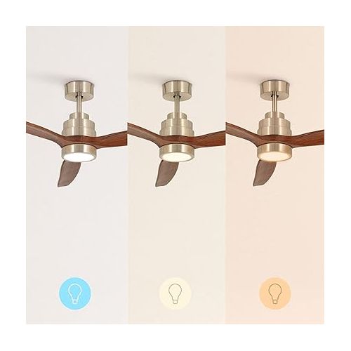  CREATE Windstylance Ceiling Fan Nickel Dark Wood Wing with Lighting and Remote Control 40 W Quiet Diameter 132 cm 6 Speeds Timer DC Motor Summer Winter Operation