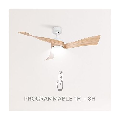  CREATE / Wind Curve / Ceiling Fan with Lighting White Natural Wood Wings with Remote Control / 40 W, Quiet, Diameter 132 cm, 6 Speeds, Timer, DC Motor, Summer Winter Operation