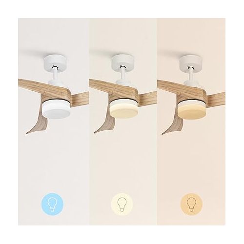  CREATE / Wind Curve / Ceiling Fan with Lighting White Natural Wood Wings with Remote Control / 40 W, Quiet, Diameter 132 cm, 6 Speeds, Timer, DC Motor, Summer Winter Operation