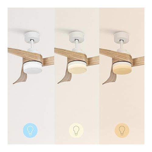  CREATE / Wind Curve / Ceiling Fan with Lighting White Natural Wood Wings with Remote Control / 40 W, Quiet, Diameter 132 cm, 6 Speeds, Timer, DC Motor, Summer Winter Operation