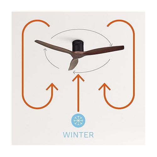  IKOHS WINDCALM DC Ceiling Fan with Winter / Summer Function Ultra Quiet