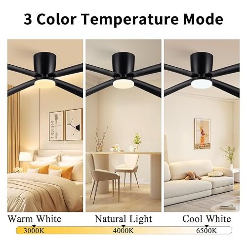  Newday Deckenventilator mit licht Beleuchtung und Fernbedienung Schwarz, Deckenlampe mit Ventilator 122CM, Deckenventilator mit Beleuchtung fur Schlafzimmer, Wohnzimmer,DC Motor Leise