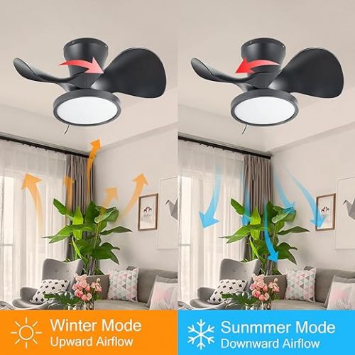  ocioc Ceiling Fan Small with Lighting, 55.88 cm Ceiling Light with Fan, Ceiling Fans Quiet with Remote Control and Light for Bedroom, Kitchen, Bathroom, DC Motor, Black