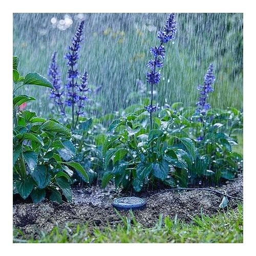  Gardena Soil Moisture Sensor: Automatic Watering, Can Be Used Directly on the Lawn Area, 5 m Long Connection Cable, Expandable with Extension Cable (01867-20)