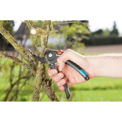  Gardena Secateurs A/M: Sturdy Pruning Shears with Anvil Cutting Edge for Woody Branches and Twigs, max. Cutting Diameter 23 mm, Non-Slip Handle, Non-Stick Upper Blade (8903-20)