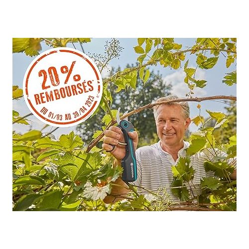  Gardena ExpertCut pruning shears: Ideal for cutting fruit trees, 22 mm maximum Cutting diameter, 2-stage variable handle opening, stainless steel blades, bypass cutting principle (12203-20)