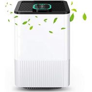 [아마존베스트]Nobebird Luftreiniger 4 in 1 mit HEPA-Filter und Ionisator, Luftreiniger fuer zu Hause mit Luftqualitatsanzeige und Timer, Capture Allergien, Staub, Pollen, Rauch, Tierhaare usw. Ideal fuer Z