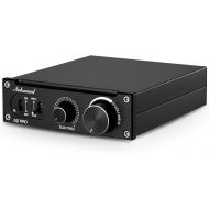 [아마존베스트]Nobsound G2 PRO Hi-Fi 300W Subwoofer Audio Mono Channel Class D Power Amplifier