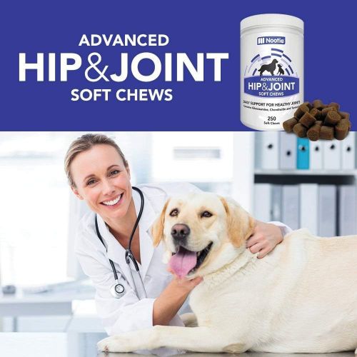  [아마존 핫딜]  [아마존핫딜]Nootie  Glucosamine Chondroitin for Dogs - 250 Training Size Dog Treats - Daily Chewable Dog Glucosamine with Tumeric - MSM - Hip and Joint Soft Chews 250 ct -2 Month Supply - All Breeds