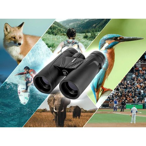  [아마존베스트]Noptix 10x42 Binoculars for Bird Watching - Professional HD Quality Roof Prism Bird Watching Binoculars for Adults - Perfect for Birding, Travel, Hunting, and Stargazing - Includes Tripod