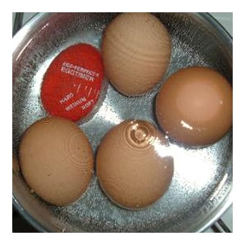  Norpro Egg Perfect Egg Timer