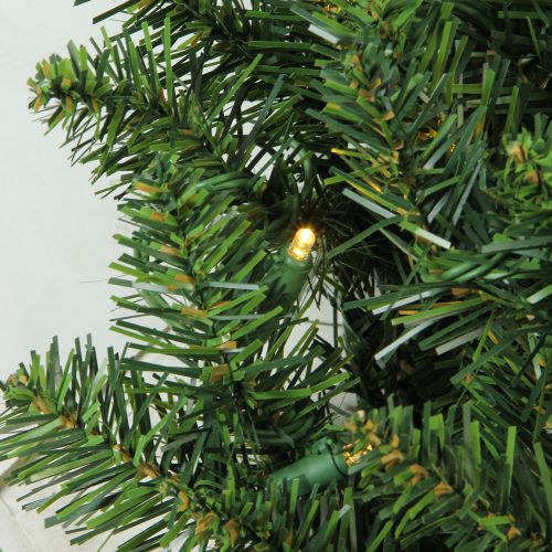  Northlight 24 Prelit LED Lights Buffalo Fir Artificial Christmas Wreath - Warm White Lights