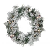 Northlight 24 Prelit Flocked Victoria Pine Artificial Christmas Wreath - Clear Lights