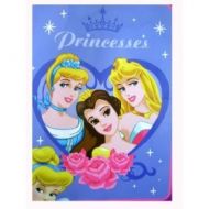 Northwest Large Disney Princess Royal Plush Throw Blanket : Love