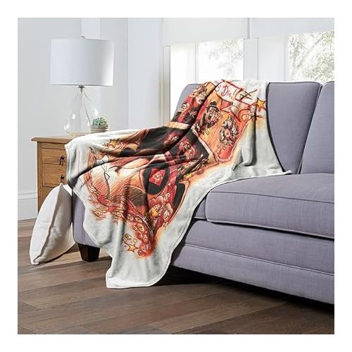  Northwest Warner Bros 100th Celebration Silk Touch Throw Blanket, 50